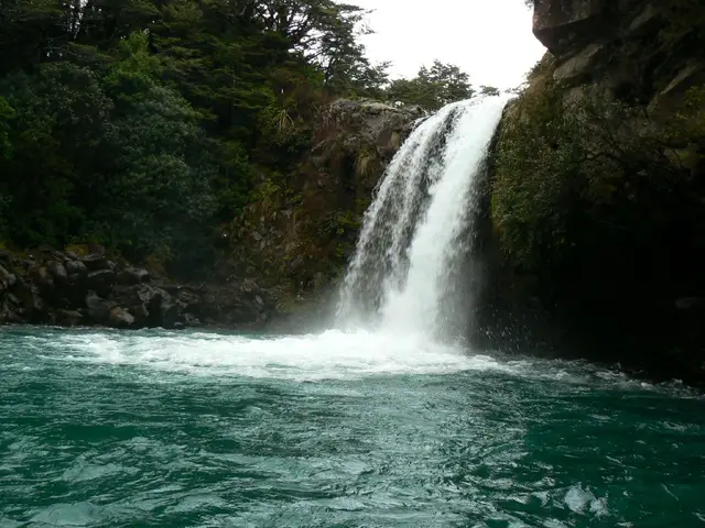 Tawhai Falls Walk