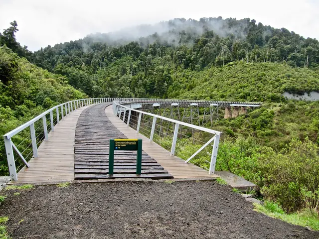 Hapuawhenua Viaduct