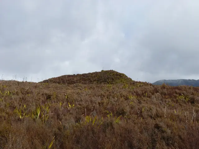 Mounds Walk, Tongariro National Park, New Zealand (5)