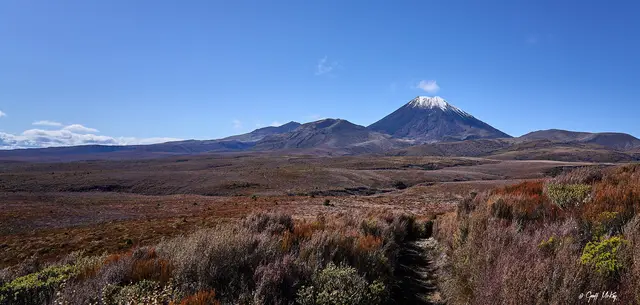 Ngauruhoe, Pukekaikiore and Tongariro (52330198804)