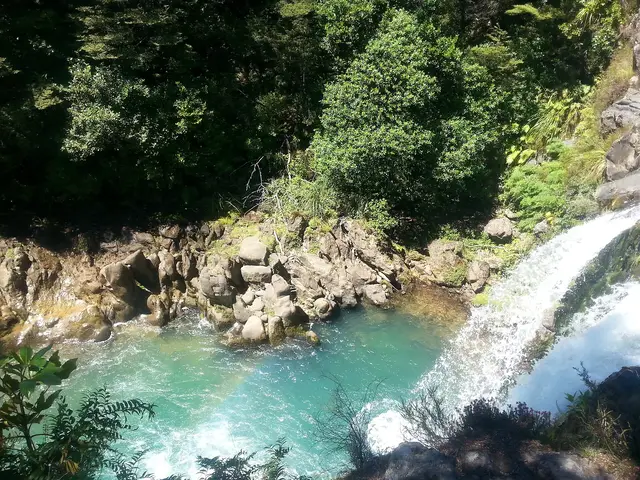 Tawhai Falls from above, Jan 2014