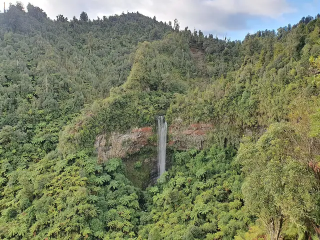 Tupapakurua Falls