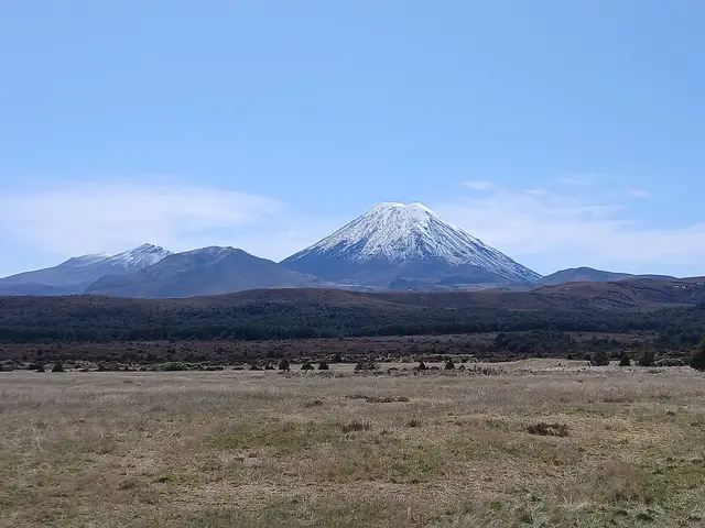 Ridge Track Lookout