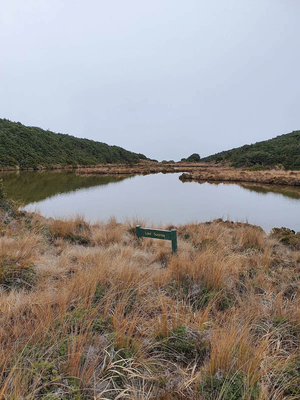 Lake Surprise