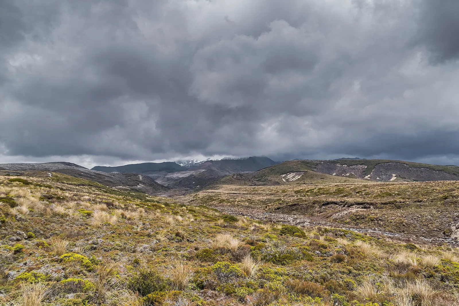 Taranaki Lookout (Erua)