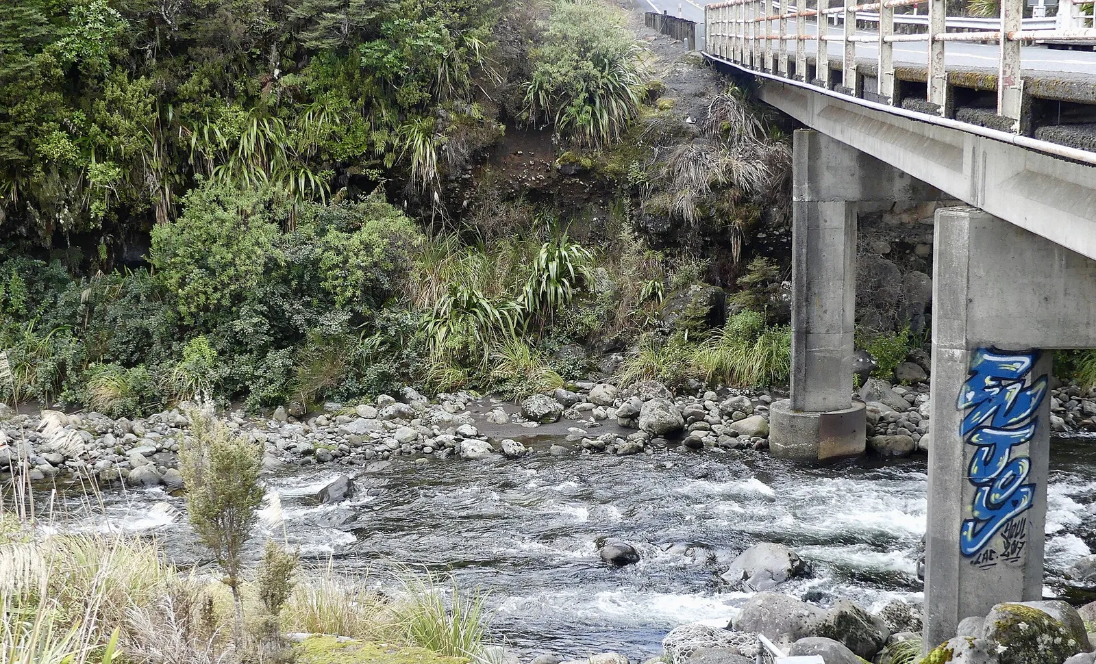 Whakapapaiti Valley Track